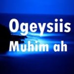 ogeysiis